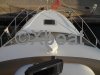 Ficha técnica SEALINE 330 STATESMAN