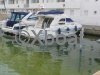 Ficha técnica SEALINE 330 STATESMAN