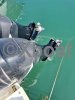 Barco a motor usado WHITE SHARK 285