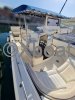Barco a motor usado WHITE SHARK 285
