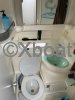 Ficha técnica SEALINE 330 STATESMAN