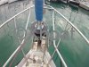 Ficha técnica OCEANIS 411