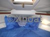 Ficha técnica CRUISERS 3670