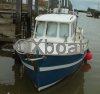 Ficha técnica RHEA 750 TIMONIER