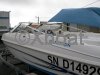 Ficha técnica GLASTRON  175 MX