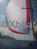 Ficha técnica SUN ODYSSEY 45