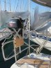 Ficha técnica BAVARIA 37 CRUISER