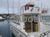 Ficha técnica ALBATROS 800