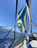 Ficha técnica BAVARIA 44 EXCLUSIVE
