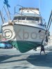 Ficha técnica PRINCESS 315 FLY