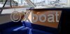 Ficha técnica SEALINE 305 STATESMAN