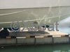 Ficha técnica SUNSEEKER SUPERHAWK 50