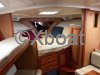 Ficha técnica LUHRS 36 OPEN FISHING