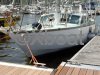 Ficha técnica REVE D ANTILLES