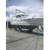 Ficha técnica ANTARES 1020 FLY