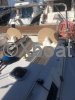 Ficha técnica DUFOUR 405 GRAND LARGE