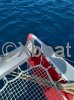 Ficha técnica OCEAN VOYAGER 53