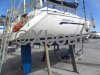 Ficha técnica BAVARIA 36
