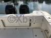 Ficha técnica BOSTON WHALER 315 CONQUEST