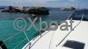 Ficha técnica SEA RAY 460 SUNDANCER
