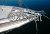 Ficha técnica NUMARINE 55 HARD TOP