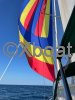 Ficha técnica OCEANIS 36 CC
