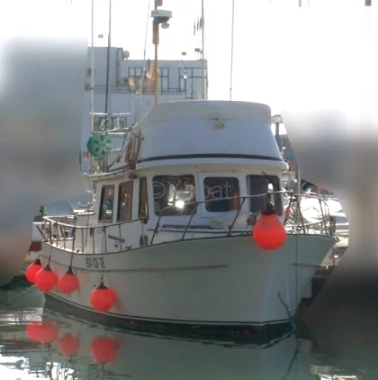 Barco a motor usado CHEOY LEE TRAWLER 34