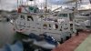 Barco a motor usado CHEOY LEE TRAWLER 34