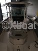Ficha técnica WELLCRAFT 302 FISHERMAN