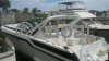 Ficha técnica WELLCRAFT PORTOFINO 43
