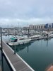 Barco a motor usado YARDING YACHT 36 