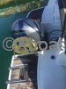 Ficha técnica MERRY FISHER 795