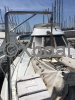 Ficha técnica AMERGLASS 43
