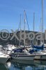 Ficha técnica PIONEER SPIRIT 26