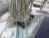 Ficha técnica LEVRIER DES MERS