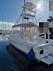 Ficha técnica PHOENIX MARINE 32 TS