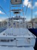 Ficha técnica PHOENIX MARINE 32 TS