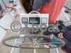 Ficha técnica GIB SEA 38 KETCH
