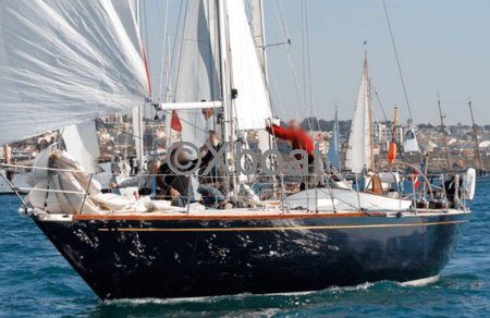 Velero CARTER 43