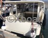 Ficha técnica GREENLINE 33