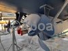 Ficha técnica HALVORSEN GOURMET 32 TRAWLER