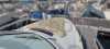 Ficha técnica MONTE CARLO 32 HARD TOP