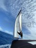 Ficha técnica SUN ODYSSEY 40