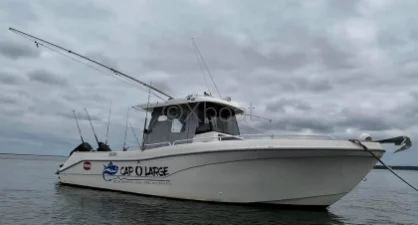 Barco a motor usado SAN REMO 865 T TOP