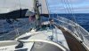 Velero usado AMEL EUROS 41