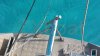 Velero usado LEGENDE 36 DI