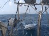Velero usado LEGENDE 36 DI