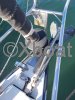 Ficha técnica FIRST 36.7
