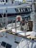 Velero usado De Cesari 60