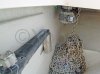 Barco a motor usado RIVIERA 3000 OFFSHORE